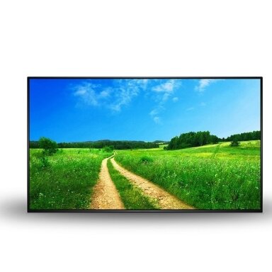 Profesionaluss monitorius M32P6-M55P6